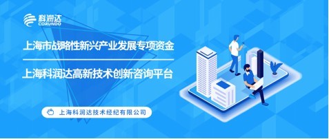 上海市戰(zhàn)略性新興產(chǎn)業(yè)發(fā)展專項(xiàng)資金申報要點(diǎn)與技術(shù)咨詢指引