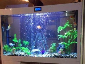 成都定制魚缸與海鮮池廠家直銷 一站式供應(yīng)加工與配件服務(wù)