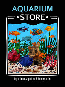 魚缸插畫與輔助用品 構(gòu)建水族藝術(shù)的完美生態(tài)